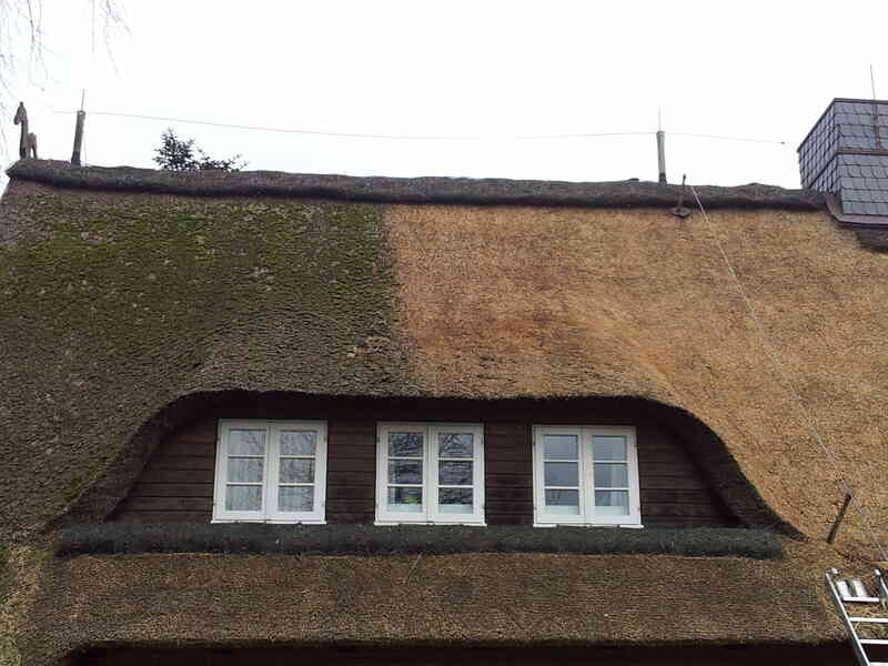 Reetdach abputzen