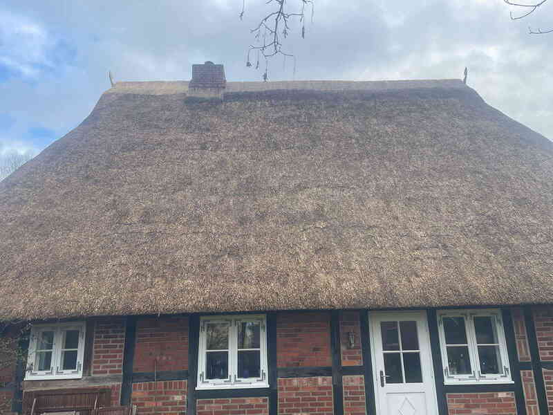 Reetdach abputzen und Reetfirst nachher