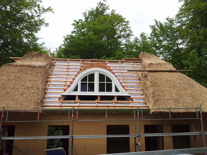 Gaubeneinbau Reetdach