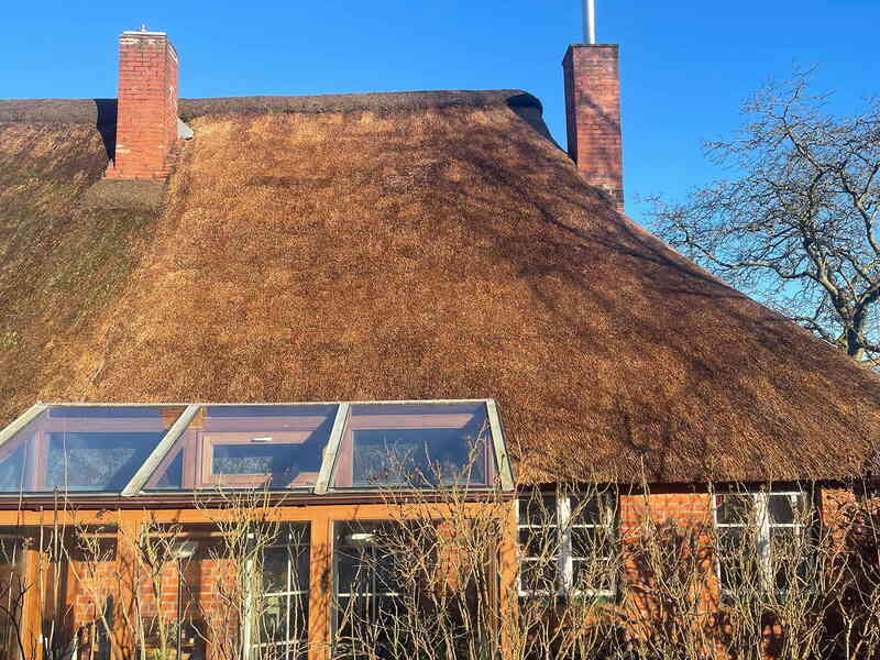 Reetdach nach der Überdeckung